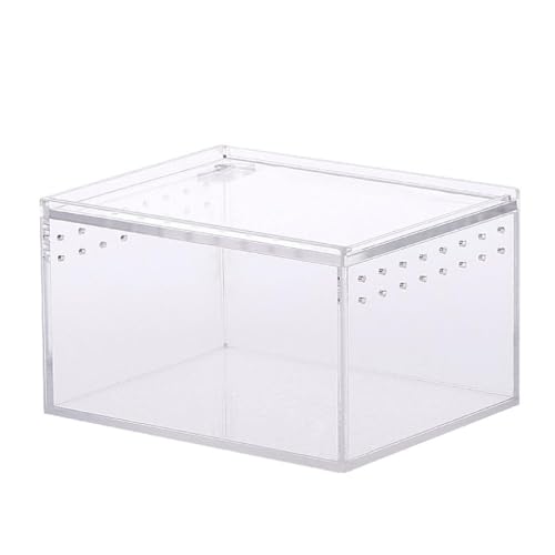 Acryl Reptilienkäfig Aufzuchtbox Terrarium Transparenter Futterraum Für Schlangen Kleine Haustiere Isopoden Eidechsen Kakerlaken Insekten Reptilien Aufzuchtbox Reptilien Aufzuchtbox Groß von FUZYXIH