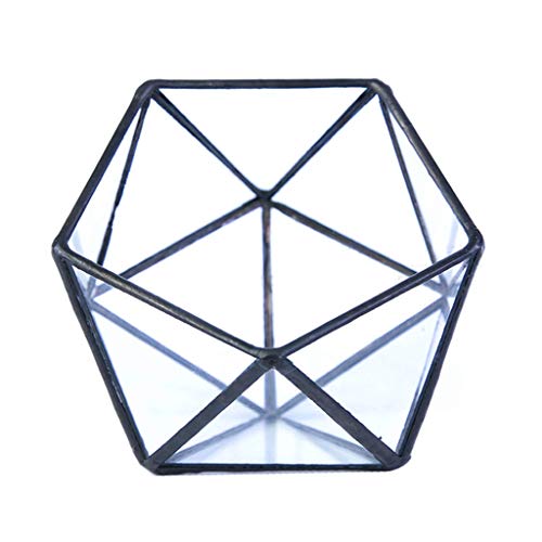 Glas-Terrarium-Aufbewahrungsbox, Schmuckhalter, geometrisches Terrarium, Tischplatte, Schmuckhalter von FUZYXIH