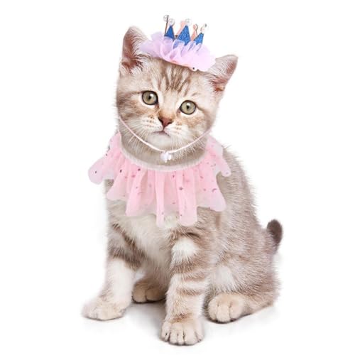 Hund Geburtstag Outfit Prinzessin Kronen Und Halsband Set Wunderschöne Kostüm Urlaub Party Für Festlichkeiten Haustier Geburtstag Outfits Hund Geburtstag Zubehör Mädchen von FUZYXIH