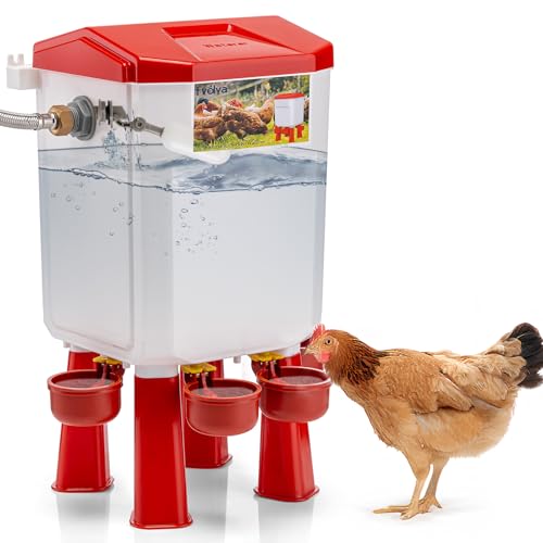 FVEDYA Automatische Hühnerbewässerung, gefiltert, schwimmgesteuert, Wachtelbewässerung, großes Geflügel-Wasser-Futter-Set mit Metallschlauch von FVEDYA