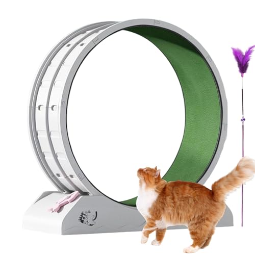 FVPKYUR Katzenübungsrad, Katzenlaufrad - Kleines Kätzchen -Fitness -Werkzeug - Antifalling-Laufband Lauffitness-Trainingräder mit Teaser für Innenkatzen von FVPKYUR