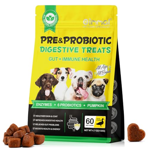 Probiotika für Hunde, weiches kaubares Hundeprobiotikum für Hunde Verdauungsenzyme, Darmgesundheit, Hefegleichgewicht, Immunsystem und allgemeine Gesundheitsunterstützung (60 Soft Chews) von FVVSIEDK