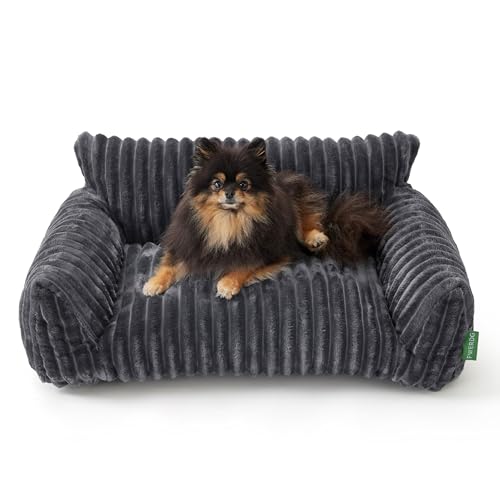 FWERDG Niedliches Couchbett für Haustiere, stützendes Katzensofa für Indoor-Katzen, kleines Hundesofa für kleine Hunde, Grau, 61 cm FWERDG Niedliches Couchbett für Haustiere, stützendes Katzensofa für Indoor-Katzen, kleines Hundesofa für kleine Hunde, Grau, 61 cm von FWERDG