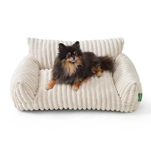 FWERDG Niedliches Couchbett für Haustiere, stützendes Katzensofa für Indoor-Katzen, kleines Hundesofa für kleine Hunde, cremefarben, 61 cm FWERDG Niedliches Couchbett für Haustiere, stützendes Katzensofa für Indoor-Katzen, kleines Hundesofa für kleine Hunde, cremefarben, 61 cm von FWERDG