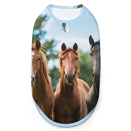 DREI Pferde Hunde-Shirts, Haustier-Bedruckte Kleidung, Sommer-T-Shirts, atmungsaktives Pullover-Tanktop für kleine Hunde und Katzen DREI Pferde Hunde-Shirts, Haustier-Bedruckte Kleidung, Sommer-T-Shirts, atmungsaktives Pullover-Tanktop für kleine Hunde und Katzen von FWJZDSP