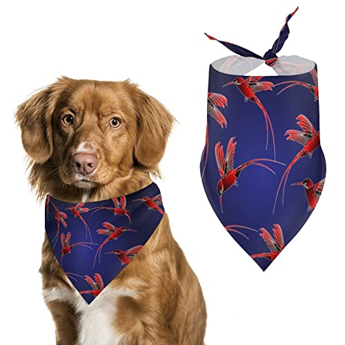 Hunde-Bandanas mit fliegendem Kolibri, dreieckig, niedliches Haustier-Schal, Halstuch für kleine, mittelgroße und große Haustiere von FWJZDSP