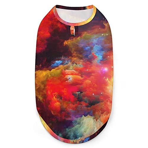 Schöne Regenbogenfarben Hunde-Shirts, Bedruckte Kleidung für Haustiere, Sommer-T-Shirts, atmungsaktives Pullover-Tanktop für kleine Hunde und Katzen Schöne Regenbogenfarben Hunde-Shirts, Bedruckte Kleidung für Haustiere, Sommer-T-Shirts, atmungsaktives Pullover-Tanktop für kleine Hunde und Katzen von FWJZDSP