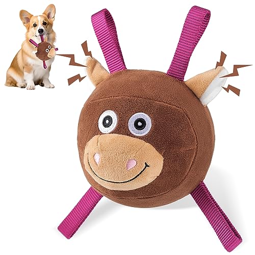 FWLWTWSS Hundeball Interaktives Hundespielzeug Ball, Hundebälle mit Griff und Pumpe, Aufblasbare Plüschhundespielzeug für Kleine Mittlere Große Hunde von FWLWTWSS