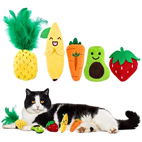 FWLWTWSS Katzenminze Spielzeug, 5 Stück Katzen Spielzeug Set mit Fruchtelementen, Katzenspielzeug mit Katzenminze, Katzenminze Kissen für Katzen zum Kratzen, Spielen und Kauen von FWLWTWSS
