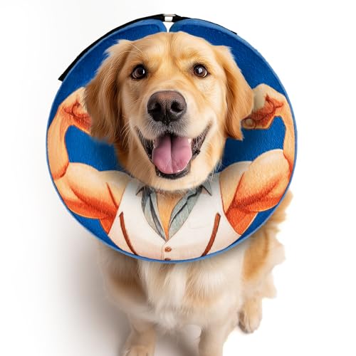 Halskrause Hund,leckschutz Hund-L von FWLWTWSS