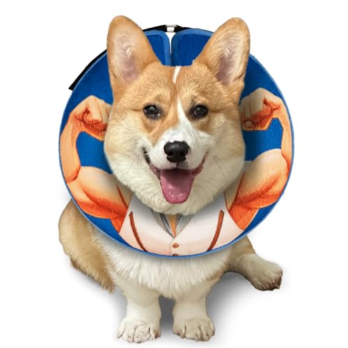 Halskrause Hund,leckschutz Hund-M+ von FWLWTWSS