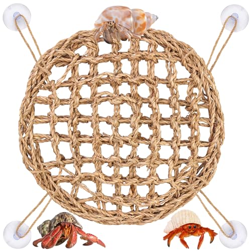FWUNYVN Einsiedlerkrabben-Kletterspielzeug, Eidechse, Seegras-Matte, Einsiedlerkrebs-Hängematte mit Saugnäpfen, Einsiedlerkrebs-Zubehör, Dekor-Lebensraum, kleines Reptilien-Tankzubehör für FWUNYVN Einsiedlerkrabben-Kletterspielzeug, Eidechse, Seegras-Matte, Einsiedlerkrebs-Hängematte mit Saugnäpfen, Einsiedlerkrebs-Zubehör, Dekor-Lebensraum, kleines Reptilien-Tankzubehör für von FWUNYVN
