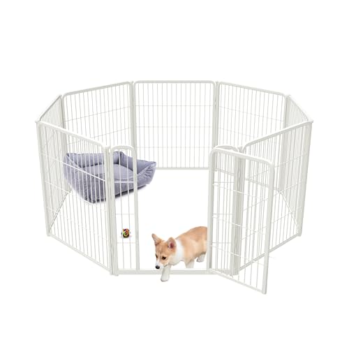 FXW Homeplus Hunde-Laufstall für den Innenbereich – stressfreies und sicheres Spielen, robuster 81,3 cm 8 Paneele, Hundegehege für Welpen, kleine und mittelgroße Hunde, Weiß│Patentiert FXW Homeplus Hunde-Laufstall für den Innenbereich – stressfreies und sicheres Spielen, robuster 81,3 cm 8 Paneele, Hundegehege für Welpen, kleine und mittelgroße Hunde, Weiß│Patentiert von FXW