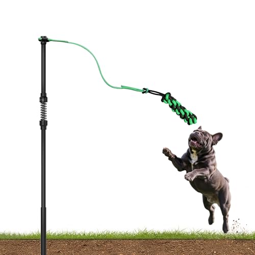 FXW TugPal Flex Outdoor Tauziehspielzeug für Hunde, interaktives Übungsspiel im Hof, für kleine Hunde von FXW
