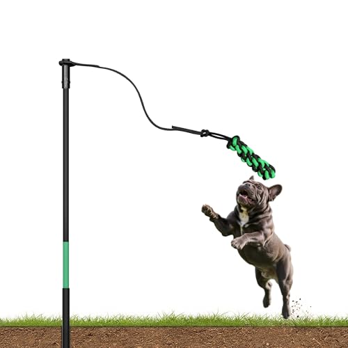 FXW TugPal Outdoor Tauziehspielzeug für Hunde, interaktives Übungsspiel im Hof, für kleine Hunde von FXW
