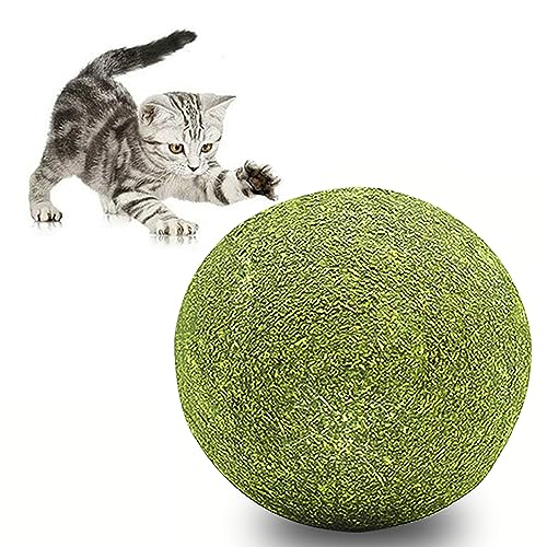 FYANER Katzenminze Ball Katze Minze Spielzeugball, Katzenkugel Spielzeugkatze Minzkugel, Katzenleckerlies für Die Reinigung Der Katzenzähne und Den Magen-Darm Schutz (1 stück) von FYANER