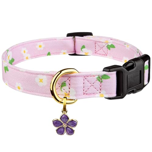 Handgefertigtes Hundehalsband aus Baumwolle, niedliche und unverwechselbare Muster, lila Blume mit Anhänger, für Mädchen, Jungen, Hundehalsband, Größe L Handgefertigtes Hundehalsband aus Baumwolle, niedliche und unverwechselbare Muster, lila Blume mit Anhänger, für Mädchen, Jungen, Hundehalsband, Größe L von FYEQYAOU