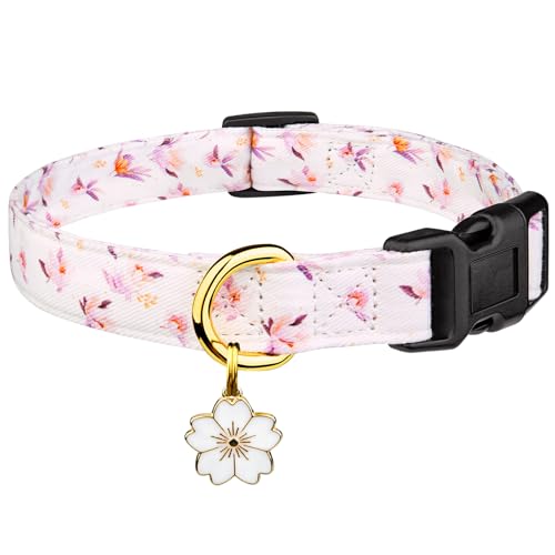 Hundehalsband aus Baumwolle, handgefertigt, niedliche und unverwechselbare Muster, weiße Blume mit Anhänger, für Mädchen, Jungen, Hundehalsband, Größe S Hundehalsband aus Baumwolle, handgefertigt, niedliche und unverwechselbare Muster, weiße Blume mit Anhänger, für Mädchen, Jungen, Hundehalsband, Größe S von FYEQYAOU
