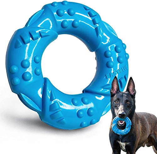 Kauspielzeug für Hunde für aggressive Kauer: Ultrafestes Kauspielzeug aus Naturkautschuk, fast unzerstörbar, für mittelgroße und große Rassen (blau) von FYH