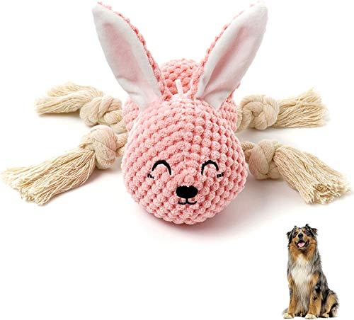Plüsch-Hundespielzeug mit Puzzle, Plüschfüllung, quietschend, Kauspielzeug für kleine und mittelgroße Hunde (Kaninchen) von FYH