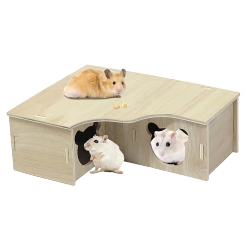 Hamsterversteck, Hamsterhaus, multifunktionales und bequemes Mehrkammer-Hamsterversteck, geeignet für verschiedene kleine Nager wie Hamster, Sandratten, Eichhörnchen Hamsterversteck, Hamsterhaus, multifunktionales und bequemes Mehrkammer-Hamsterversteck, geeignet für verschiedene kleine Nager wie Hamster, Sandratten, Eichhörnchen von FYKZQWDS