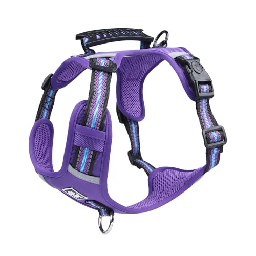 Hundehalsband, Leine, Geschirr, Welpenbedarf, verstellbar, reflektierend, klein, mittelgroß, große Leine for den Außenbereich, Zubehör breites hundehalsband(4,XS(2.5-5kg)) von FYLTWUK