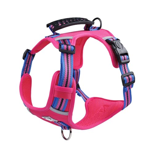 Hundehalsband, Leine, Geschirr, Welpenbedarf, verstellbar, reflektierend, klein, mittelgroß, große Leine for den Außenbereich, Zubehör breites hundehalsband(5,S(5-7.5kg)) von FYLTWUK