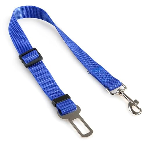 Hundeleine Harness Schnalle Leinen for Hund verstellbar Reise Gürtel Hundehalsband Stecker Hundebedarf breites hundehalsband(5) von FYLTWUK