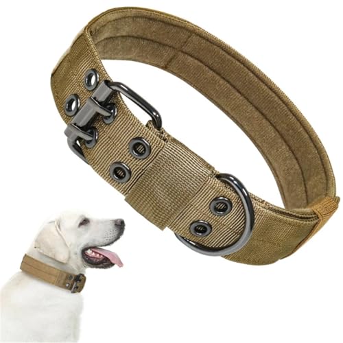 Robustes taktisches Hundehalsband-Leinen-Set, verstellbares Militär-Haustierhalsband, Leine, mittelgroßes und großes Hundetrainingszubehör breites hundehalsband(4,M) von FYLTWUK