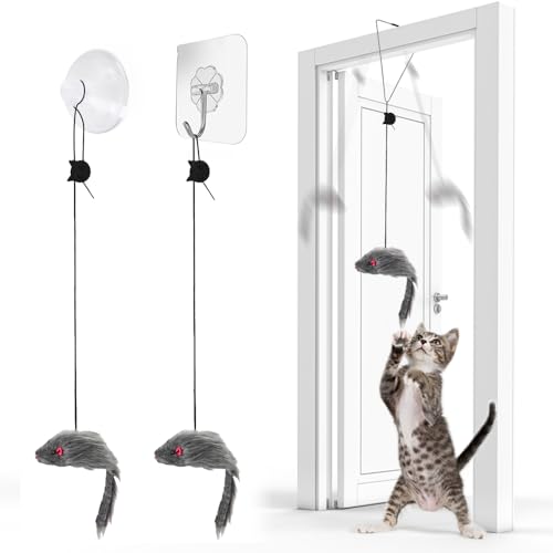 FYNIGO 2 Stück Katzenspielzeug Selbstbeschäftigung Hängende Türrahmen Elastische Maus für Katzen und Kätzchen,Interaktives Dancer Katzenspielzeug Mäuse für Katzenauslauf und gegen Langeweile FYNIGO 2 Stück Katzenspielzeug Selbstbeschäftigung Hängende Türrahmen Elastische Maus für Katzen und Kätzchen,Interaktives Dancer Katzenspielzeug Mäuse für Katzenauslauf und gegen Langeweile von FYNIGO