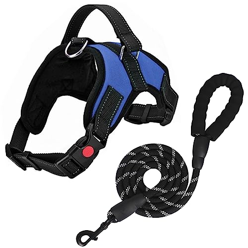 FYY Hundegeschirr, kein Ziehen, atmungsaktiv, verstellbar, Hundeweste, Geschirr mit Leine, reflektierend, Oxford, einfache Kontrolle, Hundegeschirr mit stabilem Griff für kleine, mittelgroße und große FYY Hundegeschirr, kein Ziehen, atmungsaktiv, verstellbar, Hundeweste, Geschirr mit Leine, reflektierend, Oxford, einfache Kontrolle, Hundegeschirr mit stabilem Griff für kleine, mittelgroße und große von FYY