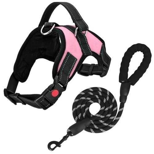 FYY Hundegeschirr, kein Ziehen, atmungsaktiv, verstellbar, Hundeweste, Geschirr mit Leine, reflektierend, Oxford, einfache Kontrolle, Hundegeschirr mit stabilem Griff für kleine, mittelgroße und große FYY Hundegeschirr, kein Ziehen, atmungsaktiv, verstellbar, Hundeweste, Geschirr mit Leine, reflektierend, Oxford, einfache Kontrolle, Hundegeschirr mit stabilem Griff für kleine, mittelgroße und große von FYY