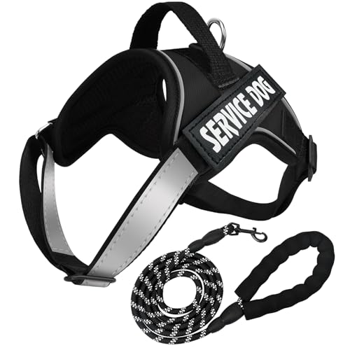 FYY Hundegeschirr, kein Ziehen, reflektierend, verstellbar, Hundeweste, Geschirr mit Leine, atmungsaktiv, Oxford, einfache Kontrolle, Hundegeschirr mit stabilem Griff für kleine, mittelgroße und große FYY Hundegeschirr, kein Ziehen, reflektierend, verstellbar, Hundeweste, Geschirr mit Leine, atmungsaktiv, Oxford, einfache Kontrolle, Hundegeschirr mit stabilem Griff für kleine, mittelgroße und große von FYY