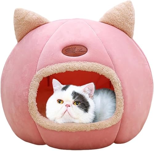 Katzenbetten für Indoor-Katzen – gemütliches Katzenhöhlenbett, Katzenhaus, Katzenzelt mit abnehmbarem Kissen, weich, warm, Haustierhaus, Welpenbett, niedliches Haustiernest für Katzen, Kätzchen, Katzenbetten für Indoor-Katzen – gemütliches Katzenhöhlenbett, Katzenhaus, Katzenzelt mit abnehmbarem Kissen, weich, warm, Haustierhaus, Welpenbett, niedliches Haustiernest für Katzen, Kätzchen, von FZKun