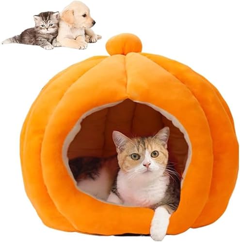 FZKun Süßes Kürbis-Katzenbett für Indoor-Katzen, gemütliches Haustiernest im Kürbis-Stil, Katzenhöhlenbett mit abnehmbarem Kissen, halbgeschlossenes Kürbis-Haustierzelt, kleines Hundehaus (S, Orange) FZKun Süßes Kürbis-Katzenbett für Indoor-Katzen, gemütliches Haustiernest im Kürbis-Stil, Katzenhöhlenbett mit abnehmbarem Kissen, halbgeschlossenes Kürbis-Haustierzelt, kleines Hundehaus (S, Orange) von FZKun