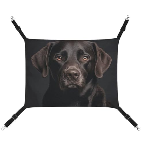 FZMTLDS Black Lab Hängematte für Hunde und Katzen, atmungsaktiv, wendbar, weiches Katzenbett für drinnen und draußen, Schlafunterlagen für kleine Tiere FZMTLDS Black Lab Hängematte für Hunde und Katzen, atmungsaktiv, wendbar, weiches Katzenbett für drinnen und draußen, Schlafunterlagen für kleine Tiere von FZMTLDS
