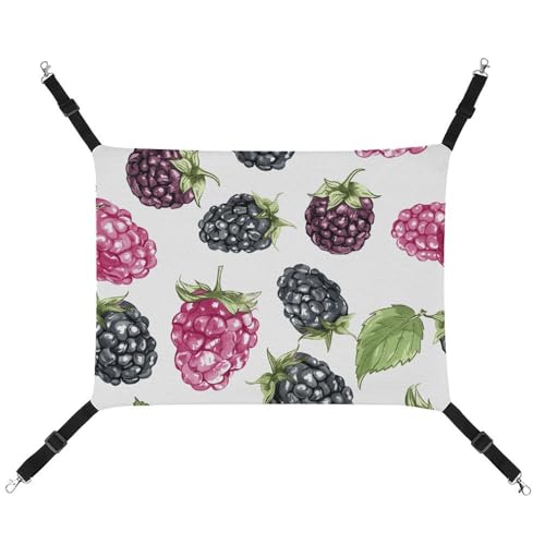 FZMTLDS BlackBerry Katzenhängematte mit Obstmuster, atmungsaktiv, Haustierkäfig-Hängematte, wendbar, weiches Katzenbett für drinnen und draußen, Ruheunterlagen für kleine Tiere FZMTLDS BlackBerry Katzenhängematte mit Obstmuster, atmungsaktiv, Haustierkäfig-Hängematte, wendbar, weiches Katzenbett für drinnen und draußen, Ruheunterlagen für kleine Tiere von FZMTLDS