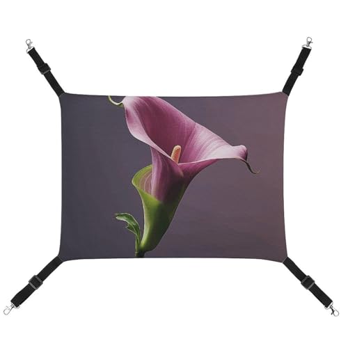 FZMTLDS Calla Lily Katzenhängematte, atmungsaktiv, wendbar, Haustier-Hängebett, weiches Katzenbett für drinnen und draußen, Ruheunterlagen für kleine Tiere FZMTLDS Calla Lily Katzenhängematte, atmungsaktiv, wendbar, Haustier-Hängebett, weiches Katzenbett für drinnen und draußen, Ruheunterlagen für kleine Tiere von FZMTLDS