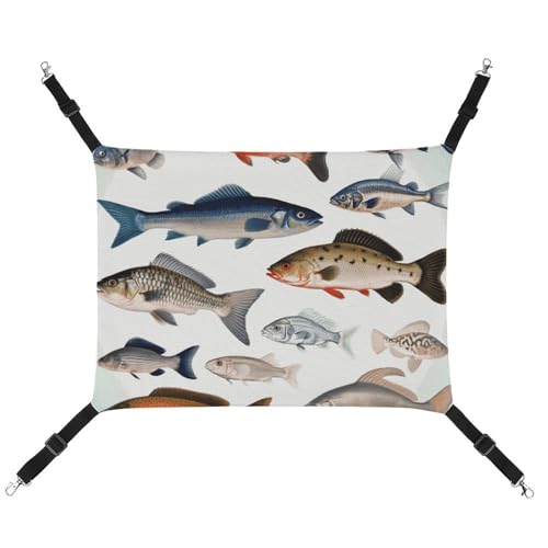 FZMTLDS Different Fish Katzenhängematte, atmungsaktiv, Haustierkäfig-Hängematte, wendbar, weiches Katzenbett für drinnen und draußen, Schlafunterlagen für kleine Tiere FZMTLDS Different Fish Katzenhängematte, atmungsaktiv, Haustierkäfig-Hängematte, wendbar, weiches Katzenbett für drinnen und draußen, Schlafunterlagen für kleine Tiere von FZMTLDS