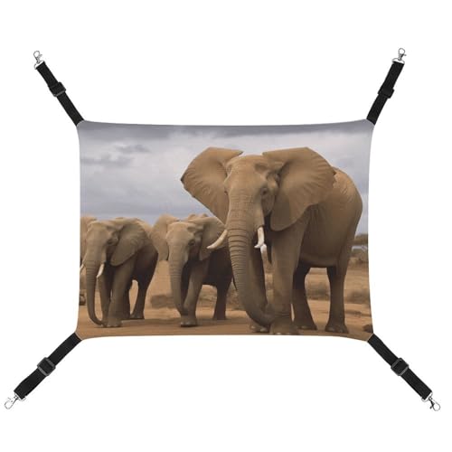 FZMTLDS Elephant Family Katzenhängematte, atmungsaktiv, Haustierkäfig-Hängematte, wendbares Haustier-Hängebett, weiches Katzenbett für drinnen und draußen, Ruheunterlagen für kleine Tiere FZMTLDS Elephant Family Katzenhängematte, atmungsaktiv, Haustierkäfig-Hängematte, wendbares Haustier-Hängebett, weiches Katzenbett für drinnen und draußen, Ruheunterlagen für kleine Tiere von FZMTLDS