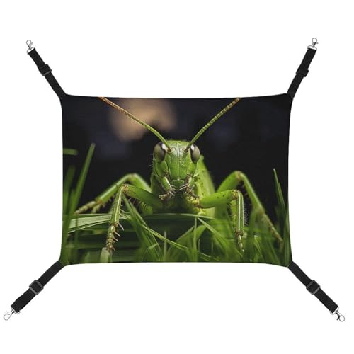 FZMTLDS Grasshopper auf Gras, Katzen-Hängematte, atmungsaktiv, Haustierkäfig-Hängematte, wendbar, weiches Katzenbett für drinnen und draußen, Ruheunterlagen für kleine Tiere FZMTLDS Grasshopper auf Gras, Katzen-Hängematte, atmungsaktiv, Haustierkäfig-Hängematte, wendbar, weiches Katzenbett für drinnen und draußen, Ruheunterlagen für kleine Tiere von FZMTLDS