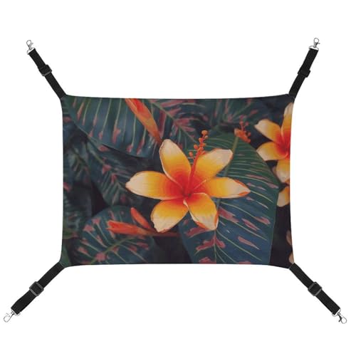 FZMTLDS Hawaii Tropische Blumen-Katzen-Hängematte, atmungsaktiv, Haustierkäfig-Hängematte, wendbar, weiches Katzenbett für drinnen und draußen, Ruheunterlagen für kleine Tiere FZMTLDS Hawaii Tropische Blumen-Katzen-Hängematte, atmungsaktiv, Haustierkäfig-Hängematte, wendbar, weiches Katzenbett für drinnen und draußen, Ruheunterlagen für kleine Tiere von FZMTLDS