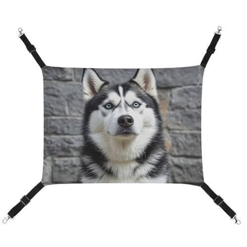 FZMTLDS Husky Hängematte für Hunde und Katzen, atmungsaktiv, wendbar, weiches Katzenbett für drinnen und draußen, Schlafunterlagen für kleine Tiere FZMTLDS Husky Hängematte für Hunde und Katzen, atmungsaktiv, wendbar, weiches Katzenbett für drinnen und draußen, Schlafunterlagen für kleine Tiere von FZMTLDS