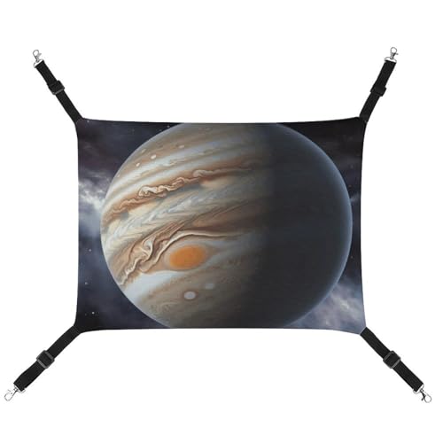 FZMTLDS Jupiter Katzenhängematte im Querformat, atmungsaktiv, wendbar, Haustier-Hängebett, weiches Katzenbett für drinnen und draußen, Ruheunterlagen für kleine Tiere FZMTLDS Jupiter Katzenhängematte im Querformat, atmungsaktiv, wendbar, Haustier-Hängebett, weiches Katzenbett für drinnen und draußen, Ruheunterlagen für kleine Tiere von FZMTLDS