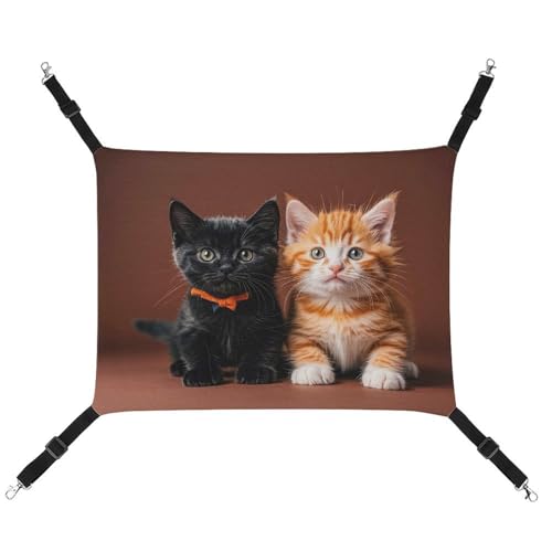 FZMTLDS Niedliche Katzen-Hängematte für Katzen, atmungsaktiv, wendbar, weiches Katzenbett für drinnen und draußen, Schlafunterlagen für kleine Tiere, Schwarz und Orange FZMTLDS Niedliche Katzen-Hängematte für Katzen, atmungsaktiv, wendbar, weiches Katzenbett für drinnen und draußen, Schlafunterlagen für kleine Tiere, Schwarz und Orange von FZMTLDS