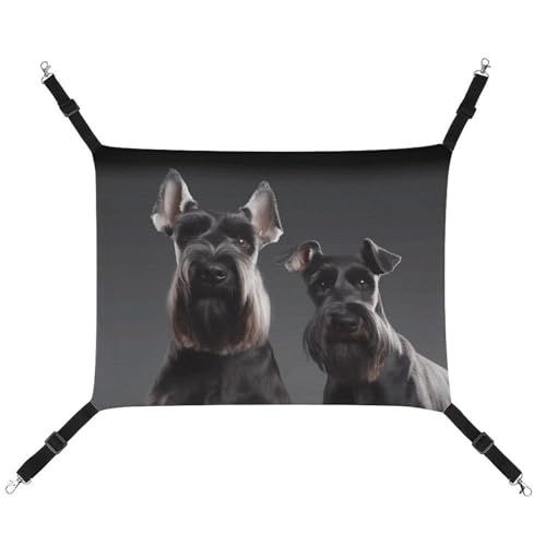 FZMTLDS Niedliche Schnauzer-Hängematte für Hunde und Katzen, atmungsaktiv, wendbar, weiches Katzenbett für drinnen und draußen, Schlafunterlagen für kleine Tiere FZMTLDS Niedliche Schnauzer-Hängematte für Hunde und Katzen, atmungsaktiv, wendbar, weiches Katzenbett für drinnen und draußen, Schlafunterlagen für kleine Tiere von FZMTLDS