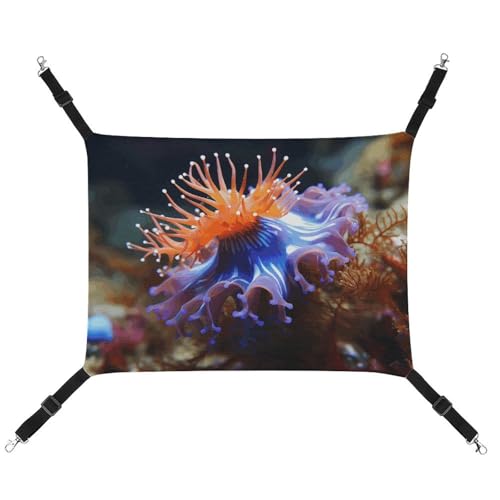 FZMTLDS Nudibranch Katzenhängematte, atmungsaktiv, Haustierkäfig-Hängematte, wendbares Haustier-Hängebett, weiches Katzenbett für drinnen und draußen, Ruheunterlagen für kleine Tiere FZMTLDS Nudibranch Katzenhängematte, atmungsaktiv, Haustierkäfig-Hängematte, wendbares Haustier-Hängebett, weiches Katzenbett für drinnen und draußen, Ruheunterlagen für kleine Tiere von FZMTLDS