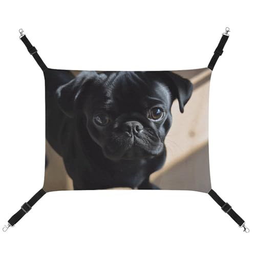 FZMTLDS Schwarze Mops-Hängematte für Hunde und Katzen, atmungsaktiv, wendbar, weiches Katzenbett für drinnen und draußen, Schlafunterlagen für kleine Tiere FZMTLDS Schwarze Mops-Hängematte für Hunde und Katzen, atmungsaktiv, wendbar, weiches Katzenbett für drinnen und draußen, Schlafunterlagen für kleine Tiere von FZMTLDS