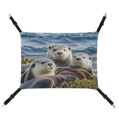 FZMTLDS Sea Otter Familien-Katzen-Hängematte, atmungsaktiv, Haustierkäfig-Hängematte, wendbares Haustier-Hängebett, weiches Katzenbett für drinnen und draußen, Ruheunterlagen für kleine Tiere FZMTLDS Sea Otter Familien-Katzen-Hängematte, atmungsaktiv, Haustierkäfig-Hängematte, wendbares Haustier-Hängebett, weiches Katzenbett für drinnen und draußen, Ruheunterlagen für kleine Tiere von FZMTLDS