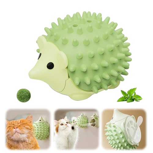 Hedgehog Weicher Katzen Bürste mit Katzenminze Ball, Selbstbeschäftigung Katzenspielzeug Ball, Katzenminze Spielzeug Bälle, Catnip Wand Bälle für Katzen Lecken,Massage Ecke Katze Bürste Wand (Grün) Hedgehog Weicher Katzen Bürste mit Katzenminze Ball, Selbstbeschäftigung Katzenspielzeug Ball, Katzenminze Spielzeug Bälle, Catnip Wand Bälle für Katzen Lecken,Massage Ecke Katze Bürste Wand (Grün) von FZQBEY